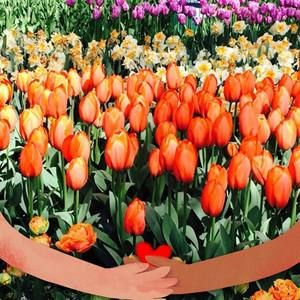 Meet your Posher, Sue